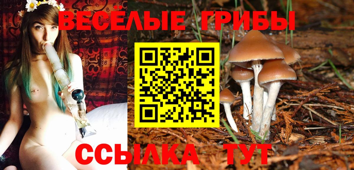 Галлюциногенные грибы мицелий Мценск